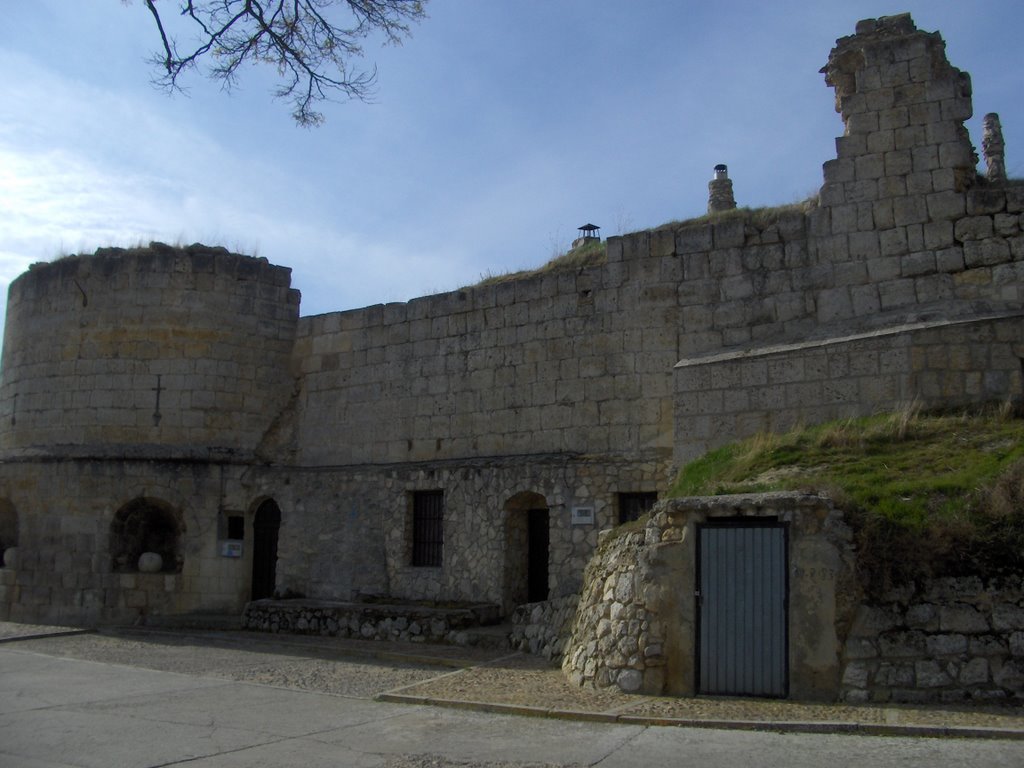 Castillo de la Mota - Astudillo - Palencia - Castilla y León - España by pzamoras