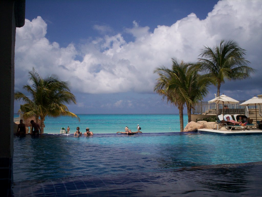 Pool with a view by Donna Blakley