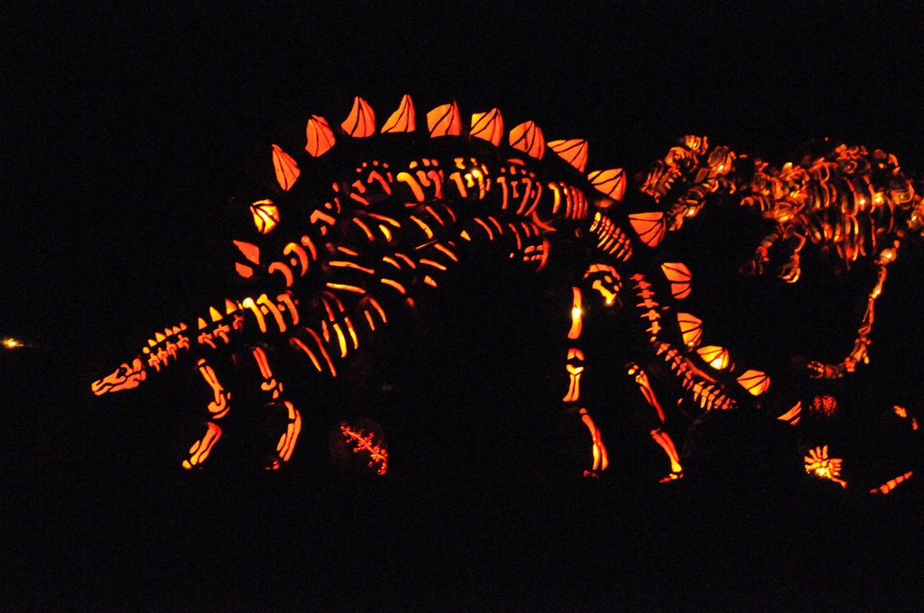 Jack 'o lantern blaze of torches, Van Cortland Manor, NY by JOFO Rupchini