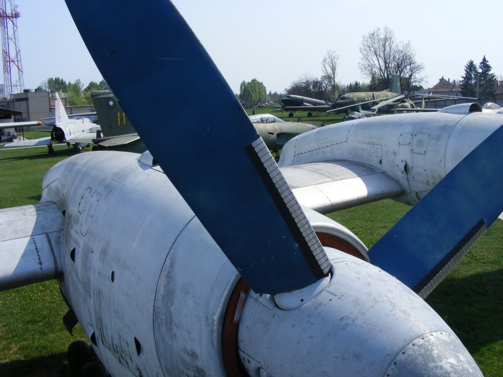 Szolnok, Szandaszőlős, 5008 Hungary by Tóthné Magdi