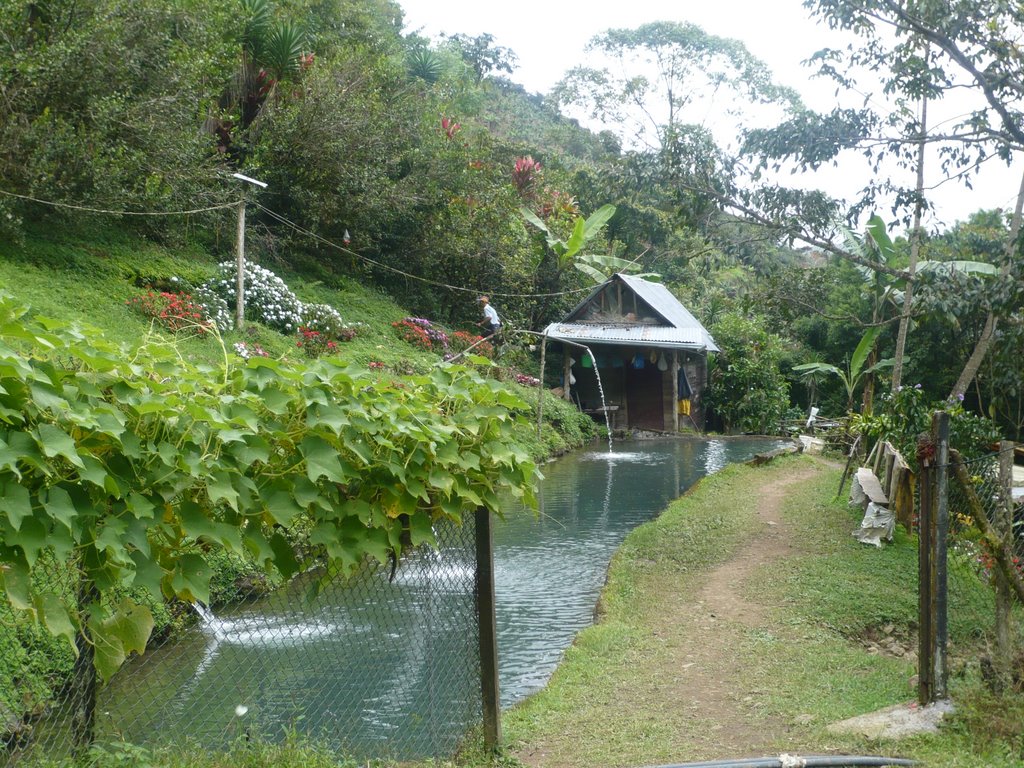 Casita de Campo by Carol Chaves Brenes