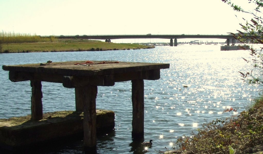 The river taff looking south by r11dyr