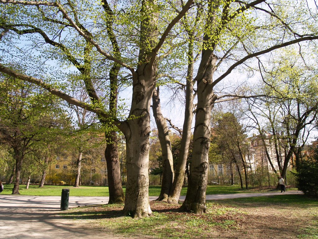 Englischer Garten·III, München by Gorka Aranzabal