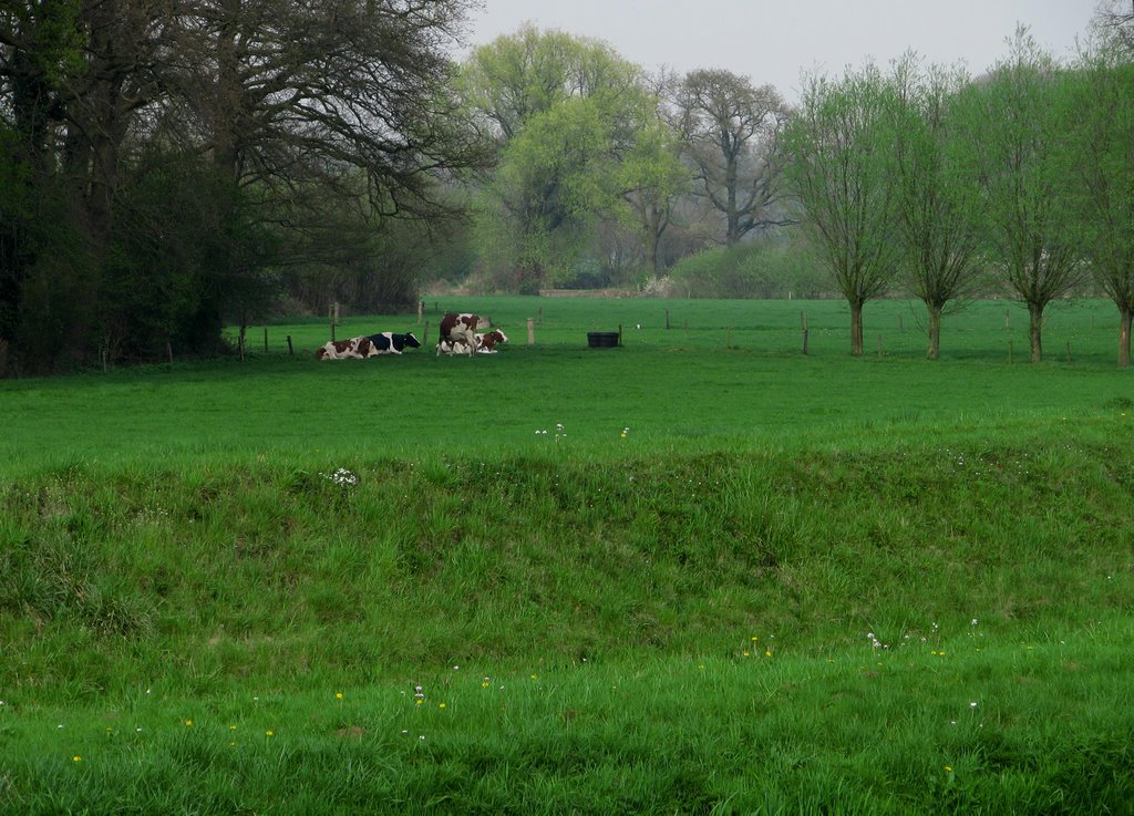 Landschap tussen deventer en bathem by rbbn