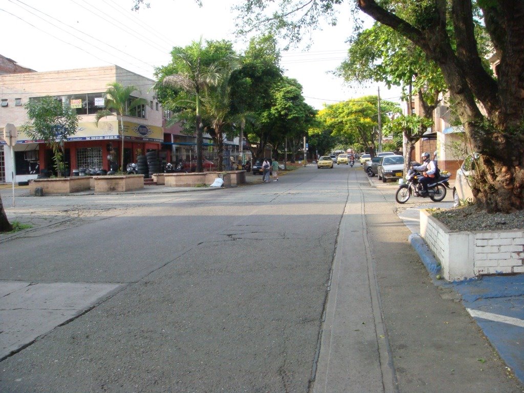 Alameda, Cali, Valle del Cauca, Colombia by carlos alberto arang…