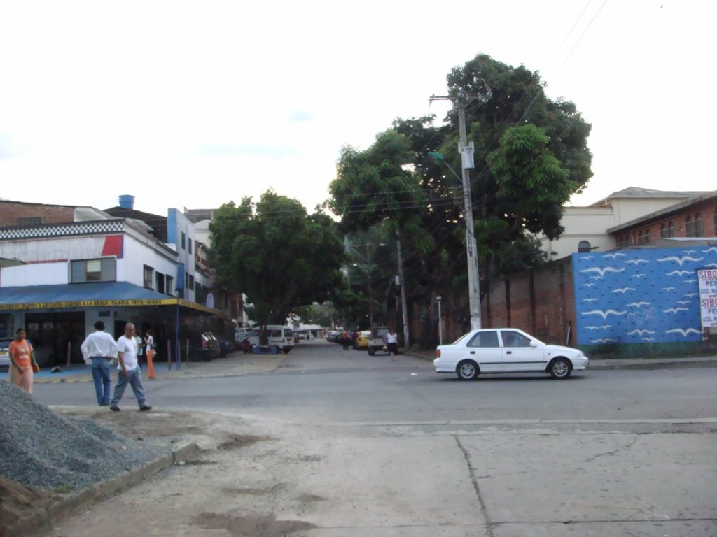 Alameda, Cali, Valle del Cauca, Colombia by carlos alberto arang…