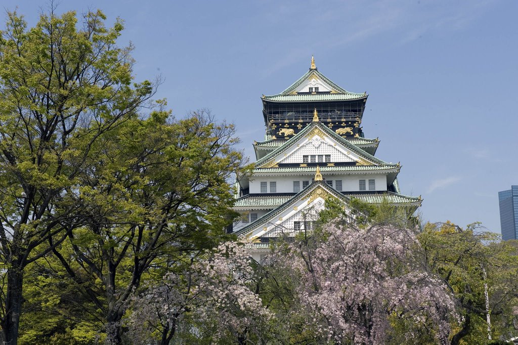 Osaka castle by hiro_c55