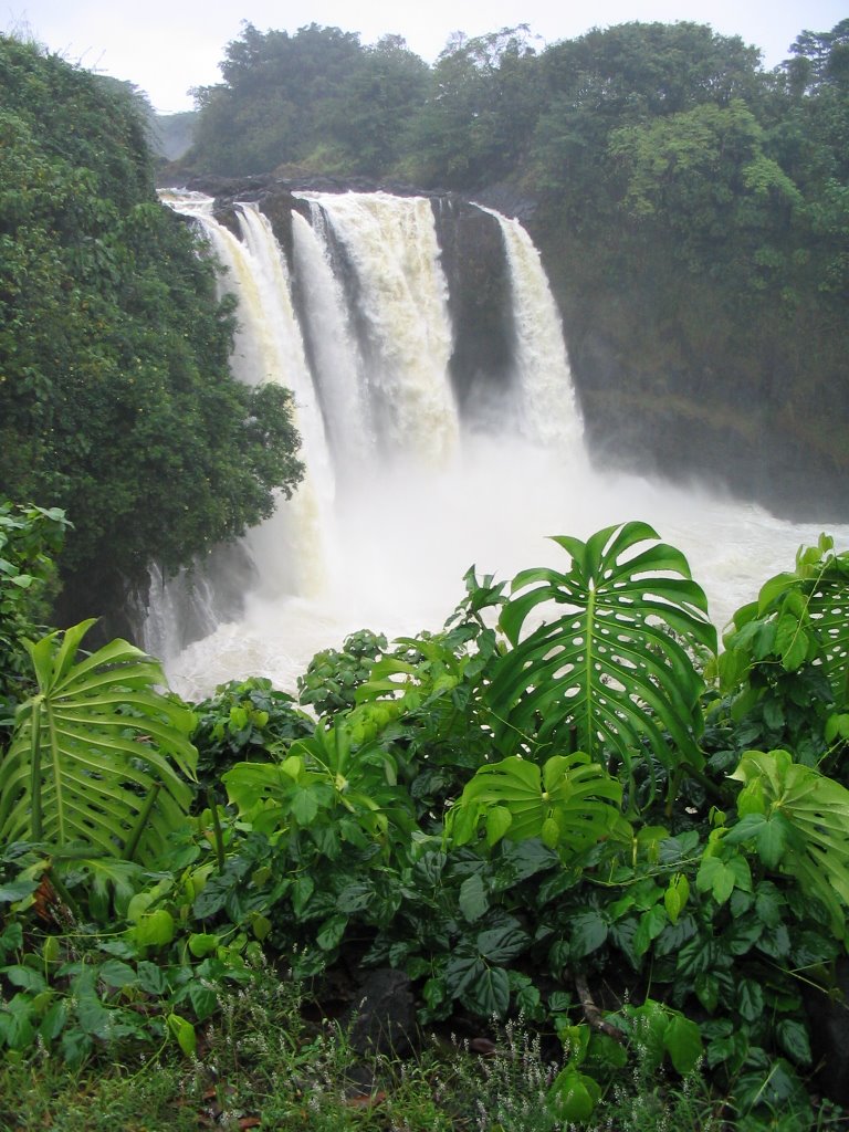 Rainbow falls by will mead