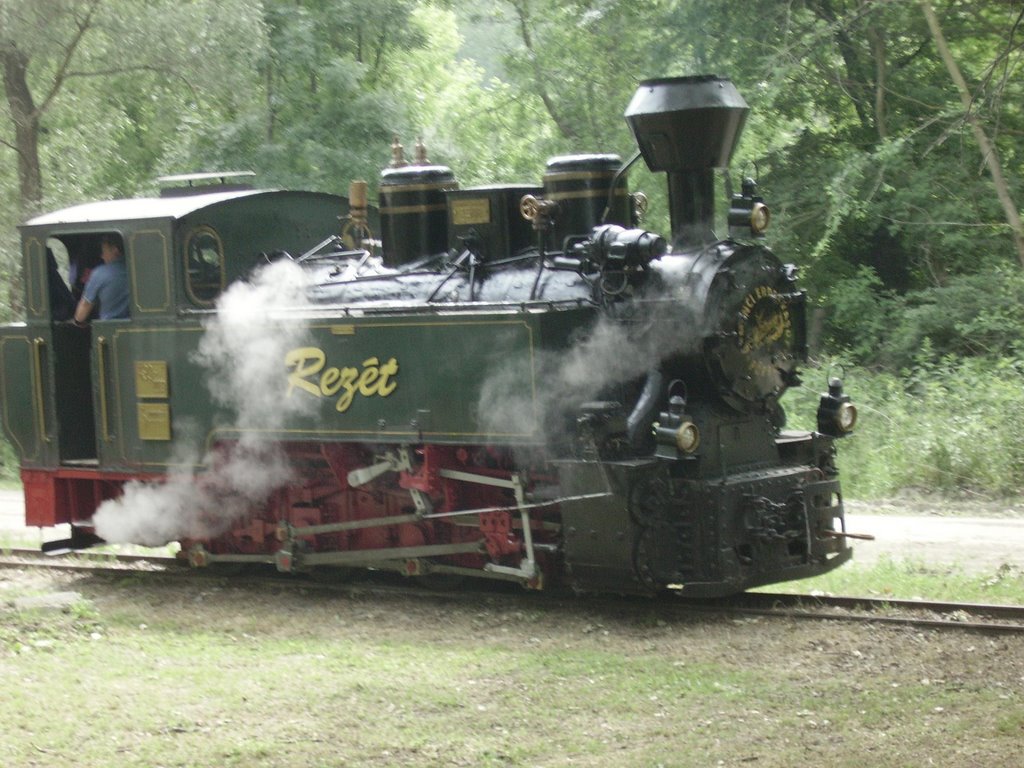 Steamlocomotive named Rezét by Etl Bálint