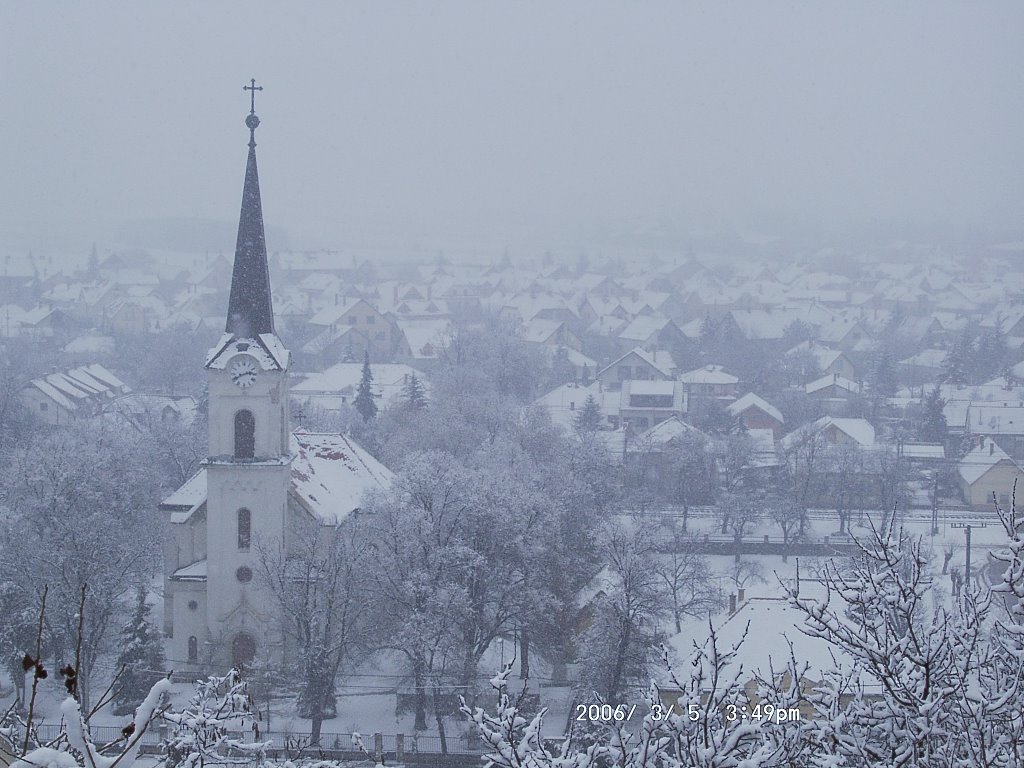 Winter by Szecska