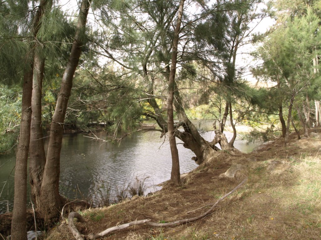 Molonglo River, Canberra, Australia by Mark Jekabsons