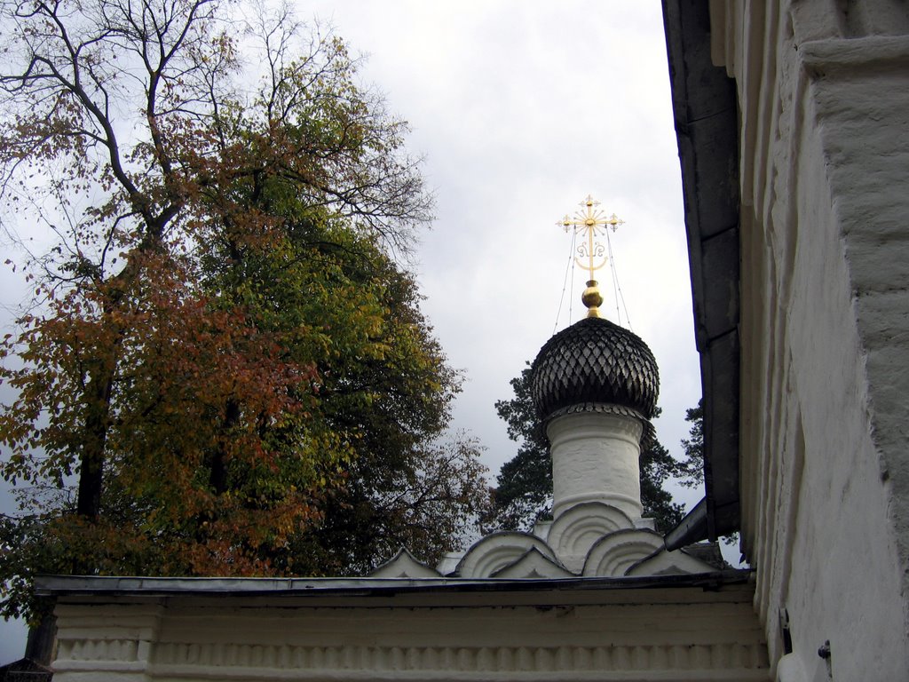 Храм Архангела Михаила. Arkhangelskoye.Moscow.Russia. by Nicolay Zelm