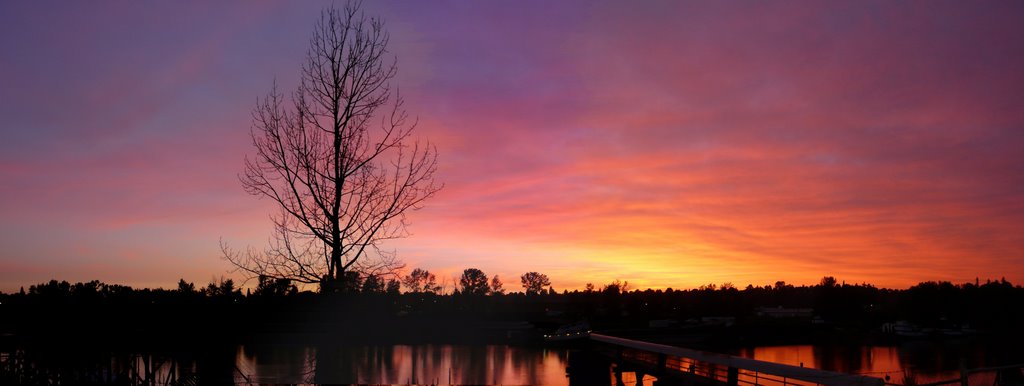 Swan Island Sunrise by condor796