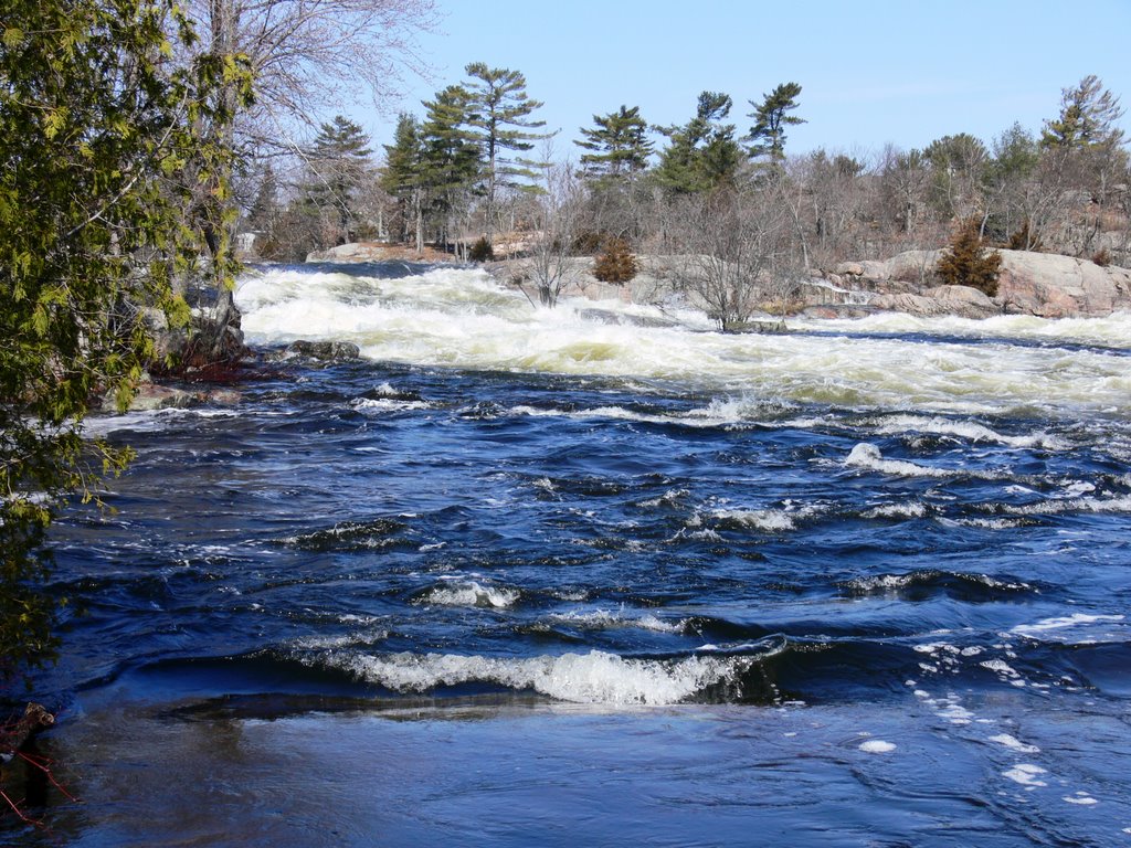 Burleigh Falls Ontario by Nick  Roman