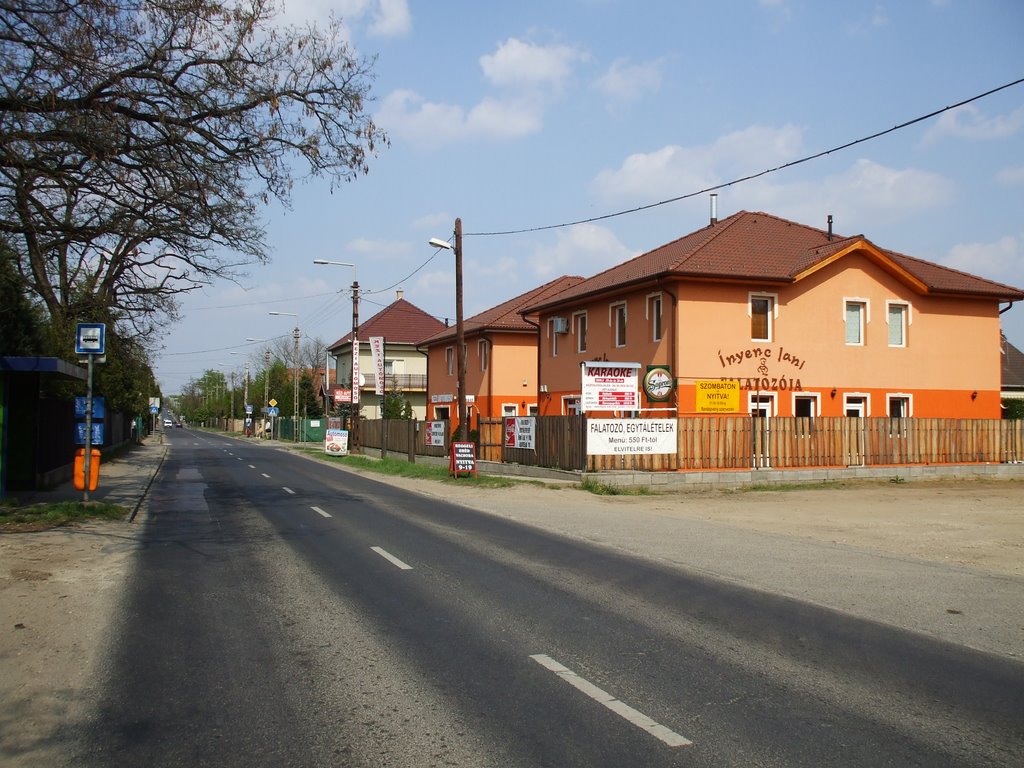 Rákoshegy,Baross utca,a Bocskai utcai buszmegálló felől,2009 április 15-én by Vastalicska