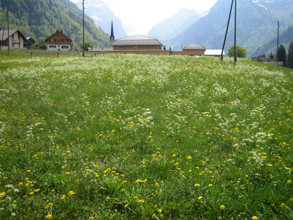 Mgl. Station nahe Fussballplatz (Drehbaum) by Spieleweg