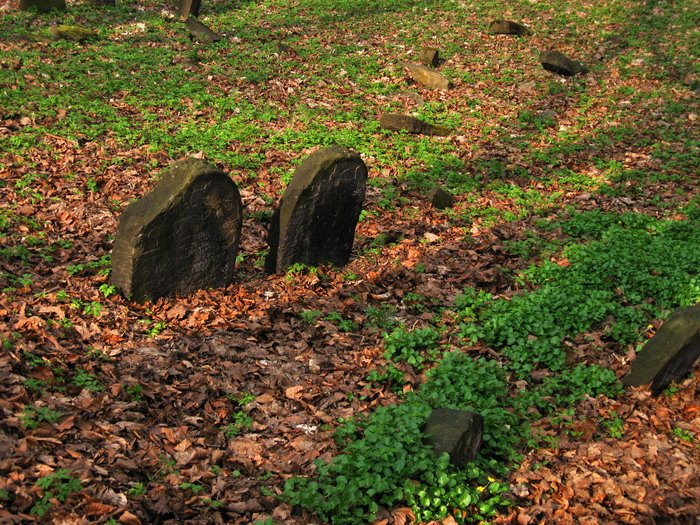 Cmentarz Żydowski by Takie tam zdjęcia