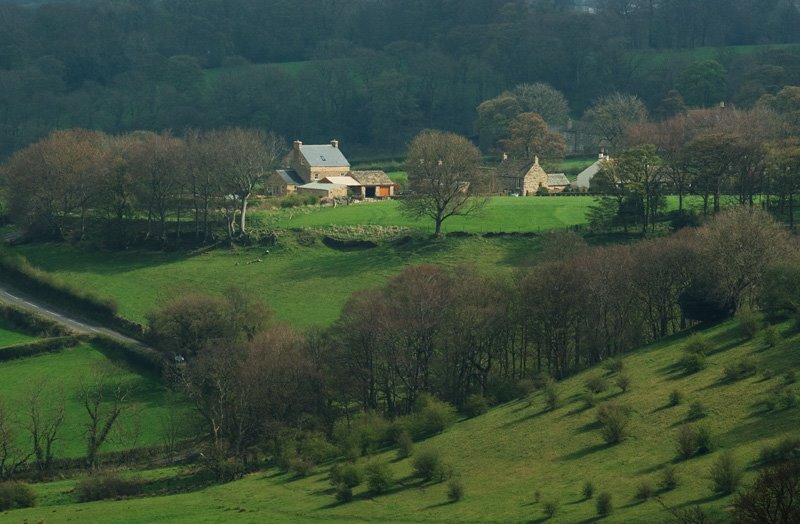 Sheffield, UK by alanus52