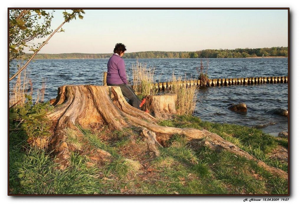 Naturverbundene an der Havel. by H. Hönow