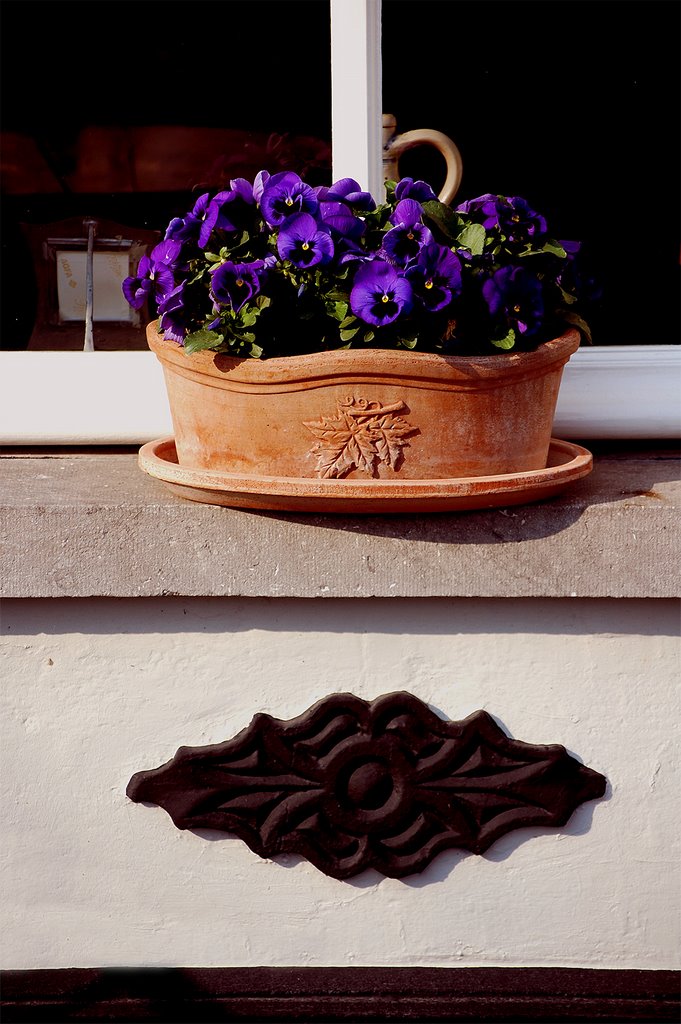 Flowers in the window in Geertruidenberg, Netherlands by © Andre Speek