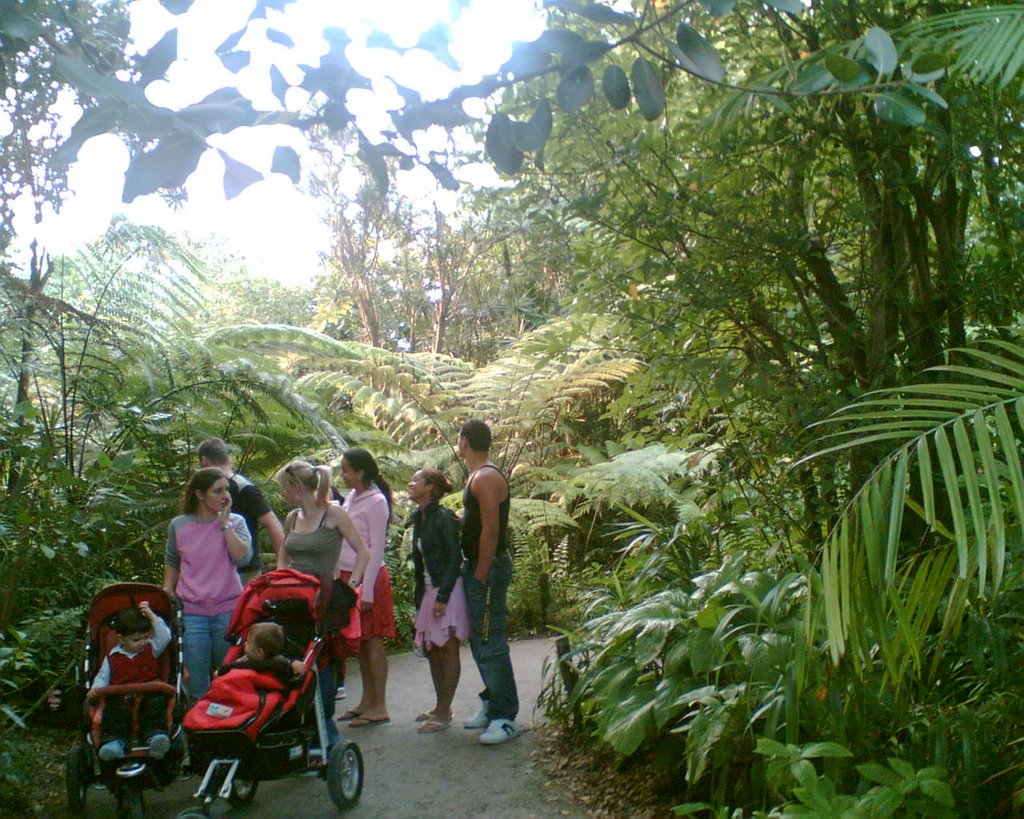 Botanischer Garten in Zürichzoo by gga