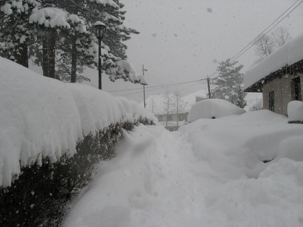 The Blizzard - 19. 02. 2009. by Marko Randjic