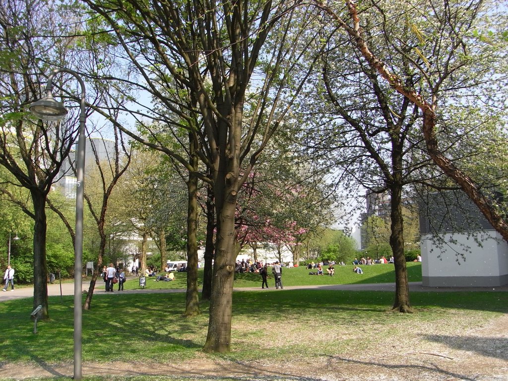 Park Universität Essen by MartinRadespiel