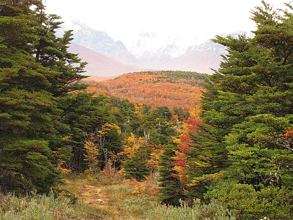 Otoño en la pista de esquí de fondo Jerman by zetadeushuaia