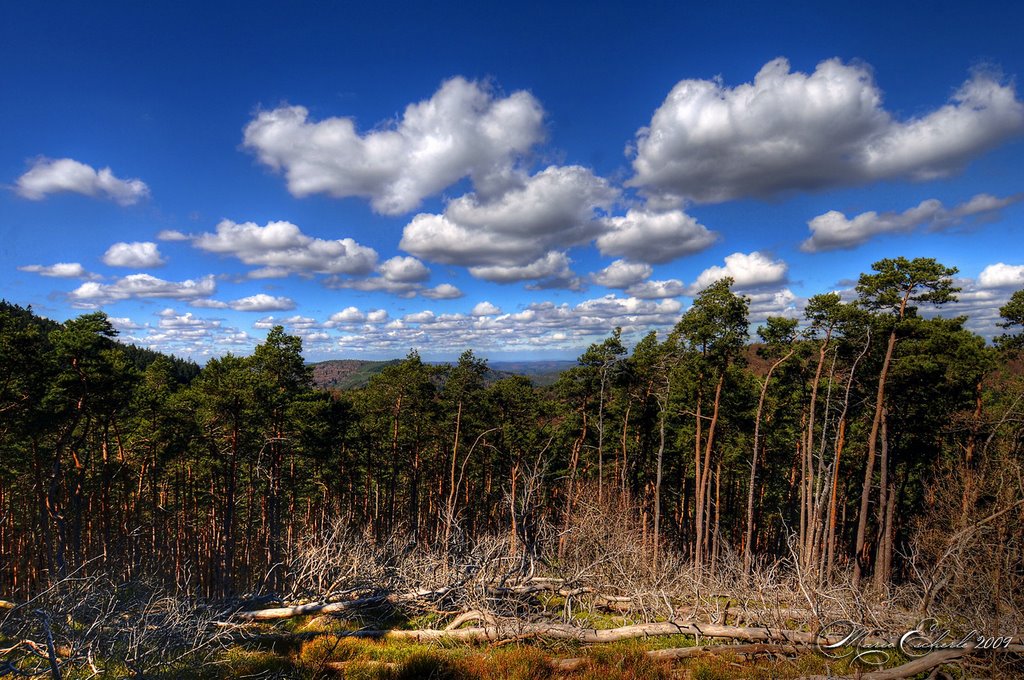 Wolkenlandschaft Kalmit by Mario Escherle, der Fotograf aus Kaiserslaute