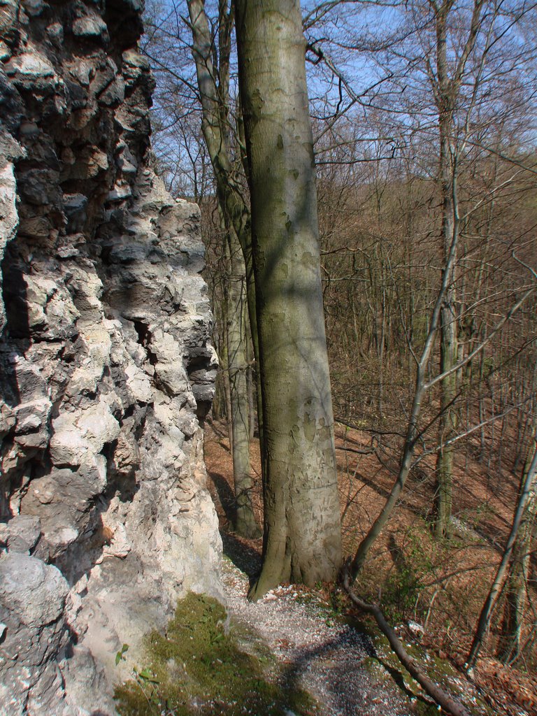 Questenberg - Südharz Questenburg by Gottfried Hoffmann -…