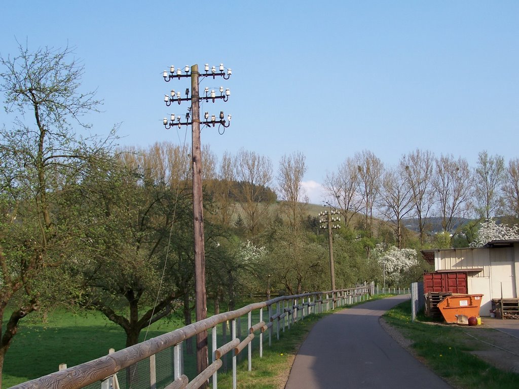 Ruwer-Hochwald-Radweg in Trier-Ruwer Richtung Mertesdorf by Herbert Schiffels