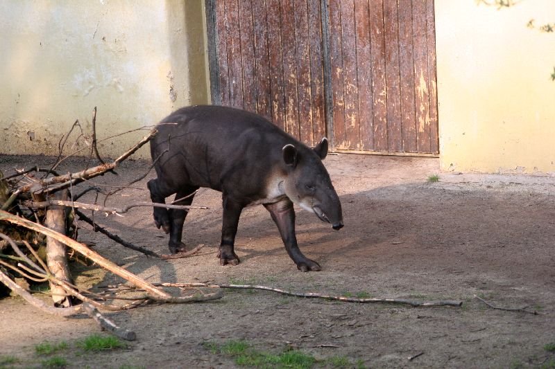 Besuche im Zoo by Stasvde