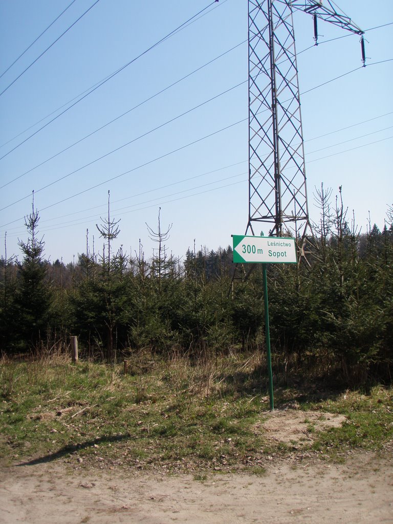 Signpost | drogowskaz by t.przechlewski