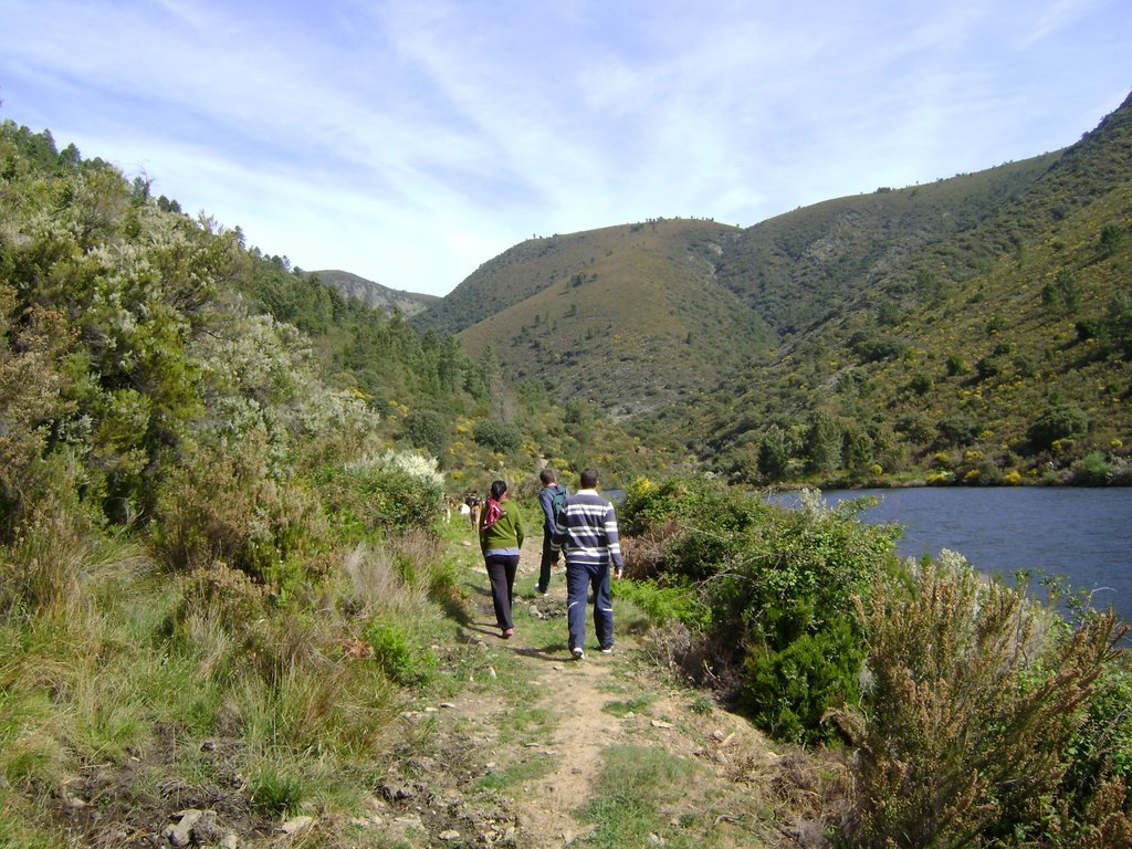 Siguiendo el camino by jguervos