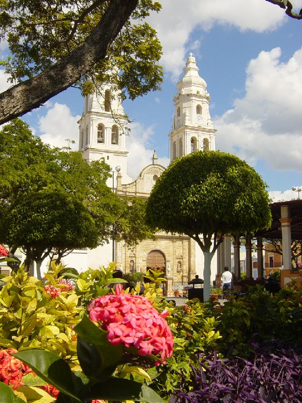 Catedral by cienporcientocampech…