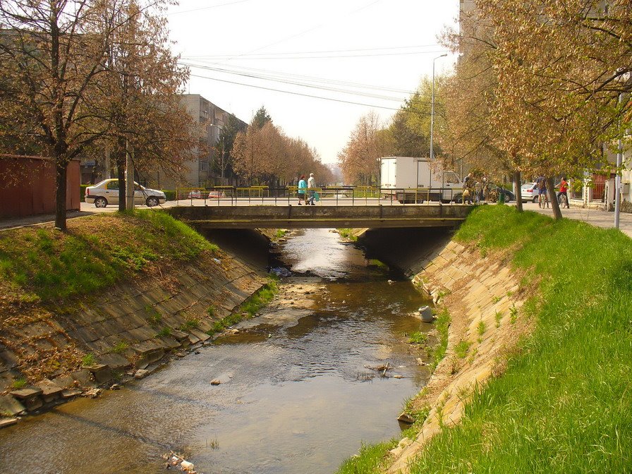 Tg.Mures - bridge over Poklos creek in Old Tudor by jeffwarder