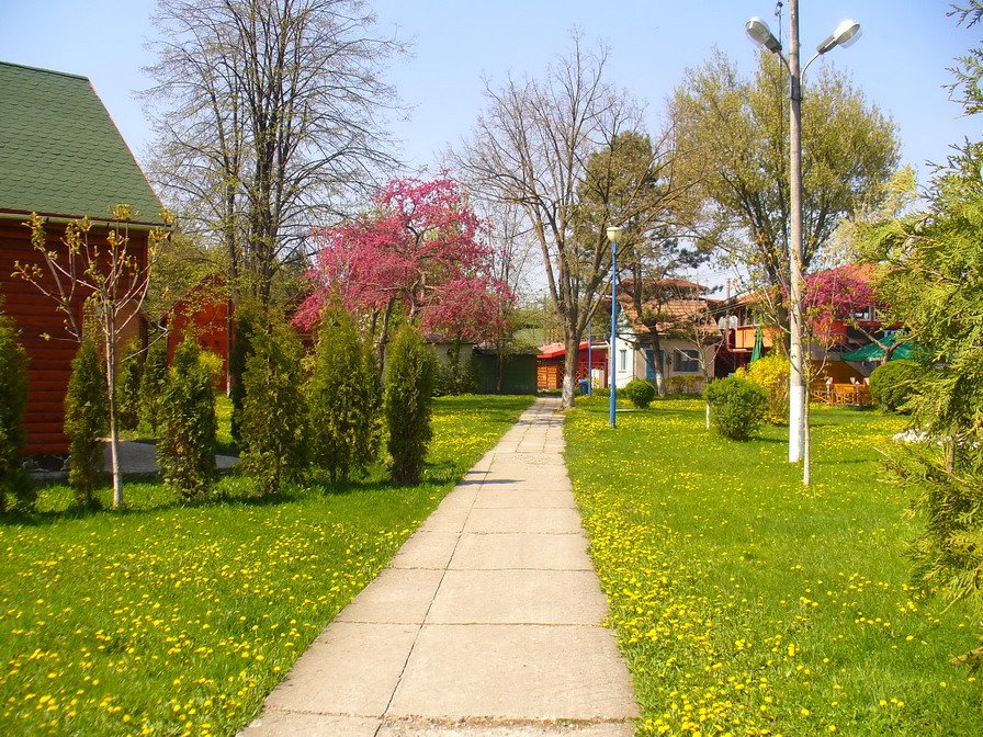 Tg.Mures - a springtime walkaway in the Weekend leisure complex by jeffwarder