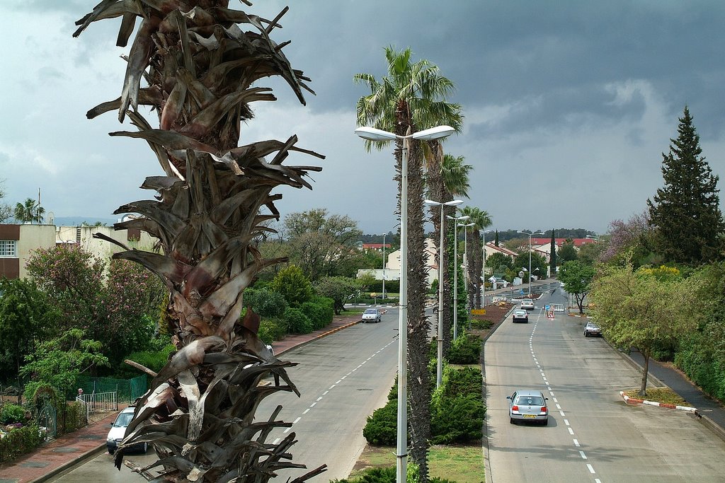 Israel.qatserin by gilad mayants