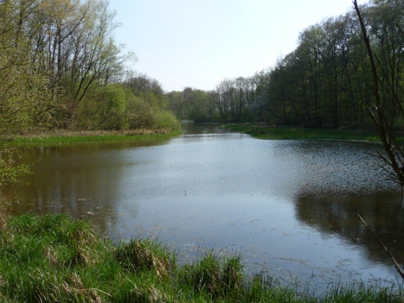 Wehren Teich bei Labenz by Uwe Frei