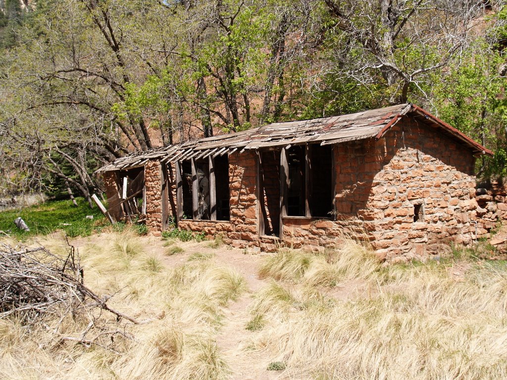 Coconino County, AZ, USA by Martin Kurowski