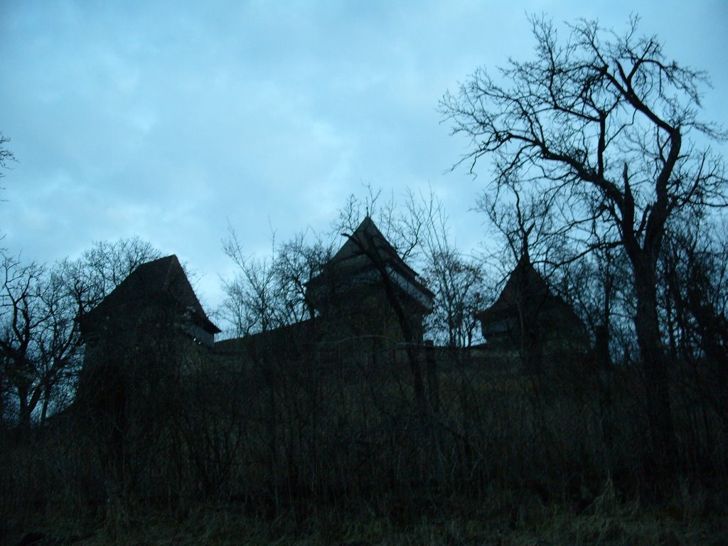 Bunesti, Romania by Rainer Hansmeyer