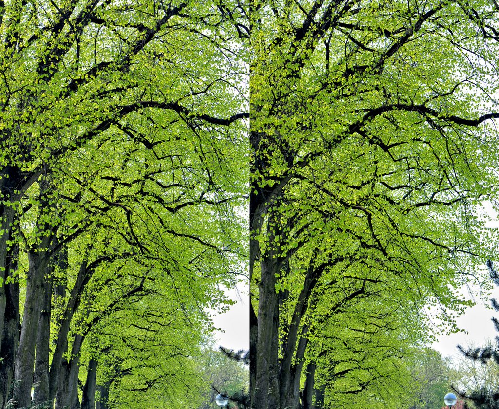 X3D - Tulln - Donaulände - please enlarge! by © Sonny☼3D