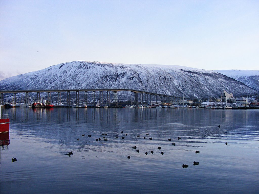 Tromsø d. 24. januar 2009 by Niels Madsen