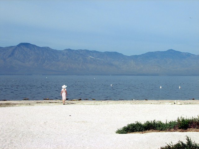 Salton Sea, April 2009 by jores