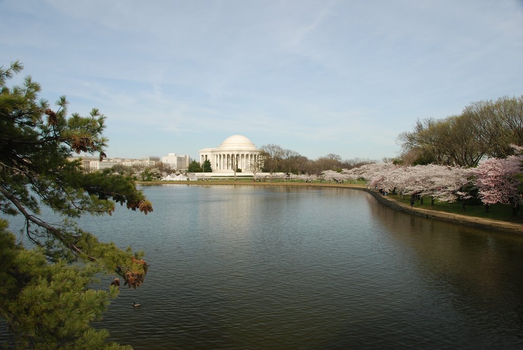 Cherry Blossom in Washington, DC - March 2009 by Val Kulkov