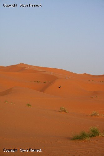 Sahara by Styve Reineck