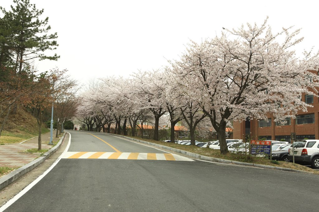 Gunsan University 군산대학교 by visitkorea.or.kr