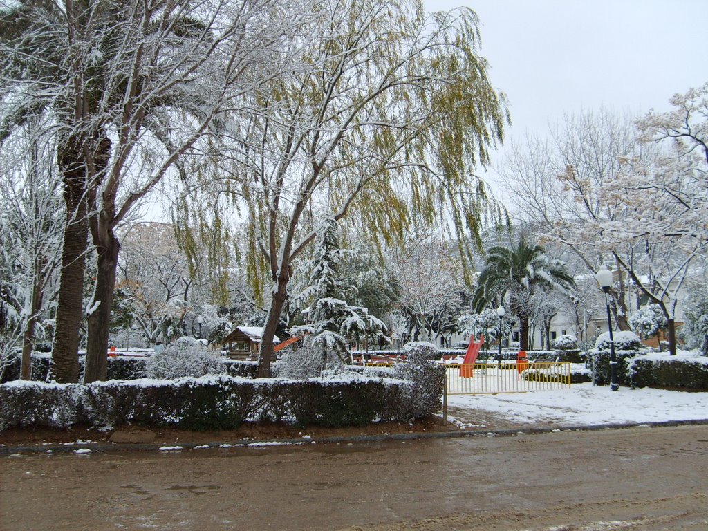 Nieve en el parque by wiker