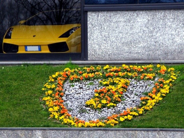 Lamborghini - Logo scudo Lamborghini realizzato con i fiori e Gallardo gialla by ilnani