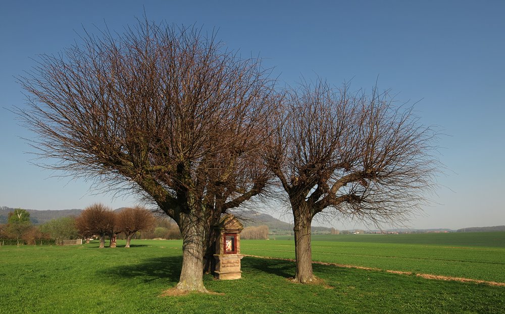 Kreuzweg Neustadt - Neubleicherode by rw12